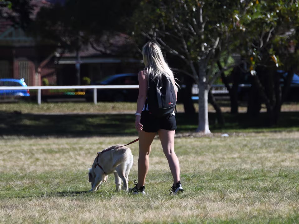 Frau geht mit einem hellen Hund an der Leine über eine Parkwiese