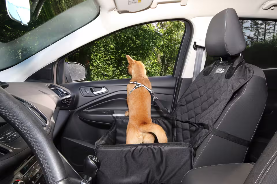 Hund sitzt angeschnallt in einem Hundesitz im Auto