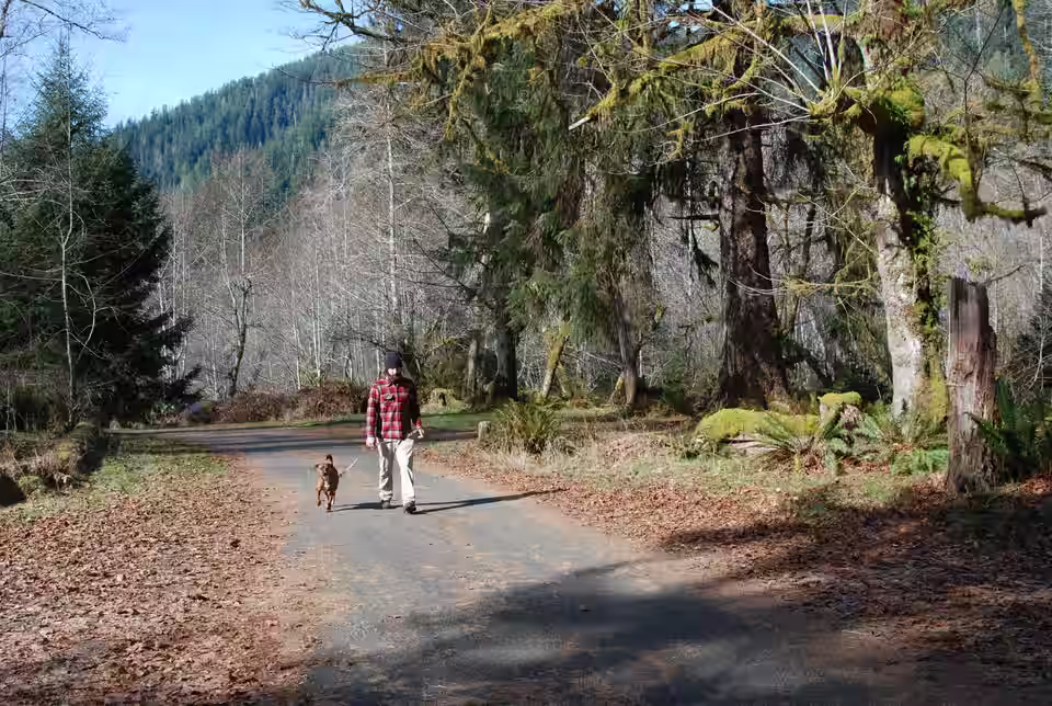 Ein Mensch geht mit seinem Hund auf einem Weg durch den Wald