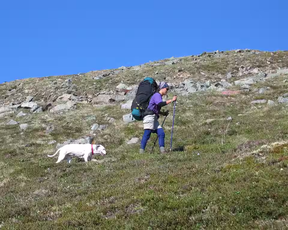 Wanderer mit Rucksack und weißem Hund an einem Berghang