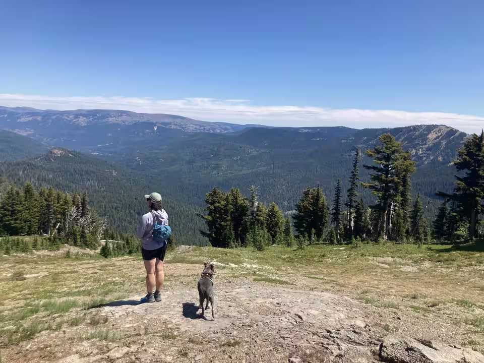 Wanderin mit Hund auf einer Bergwiese vor einem Bergpanorama