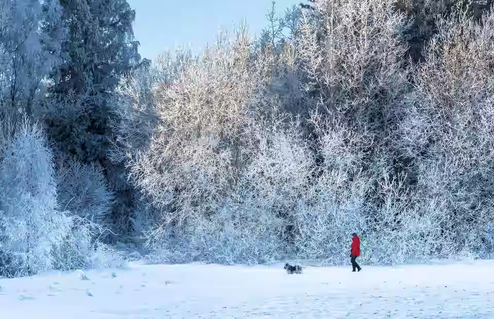 Person und Hund in einer winterlichen Landschaft mit Raureif