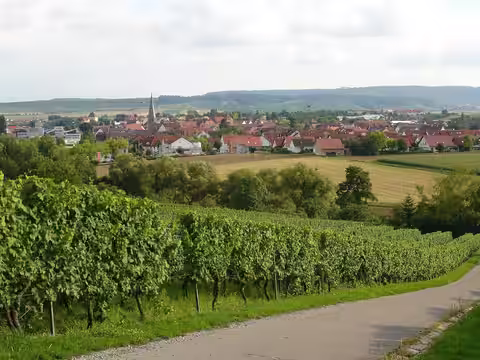 Ansicht von Brackenheim