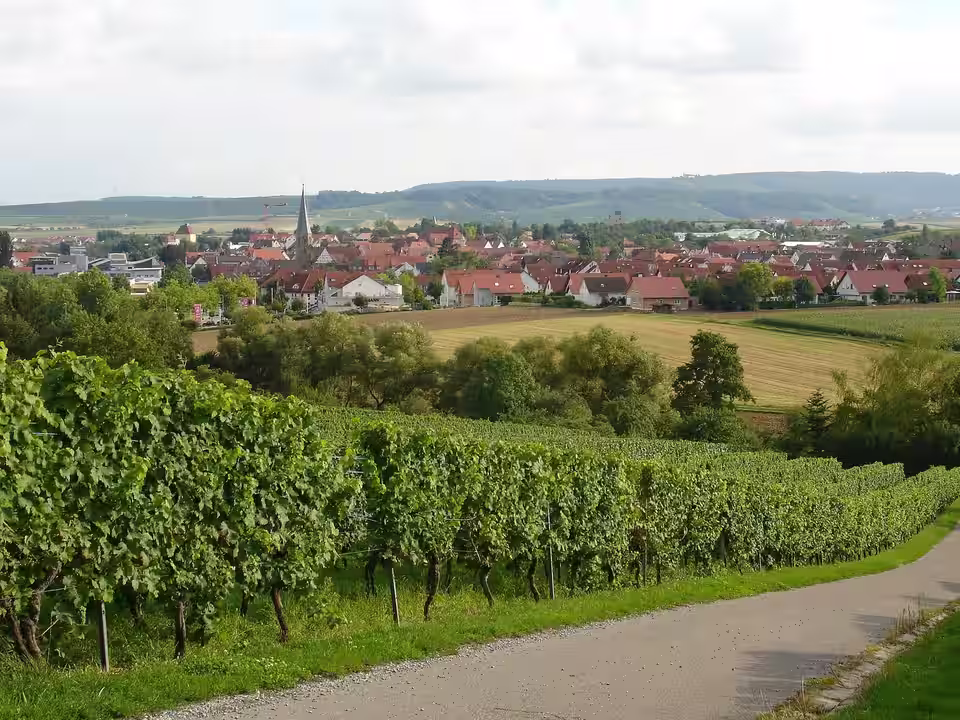 Ansicht von Brackenheim
