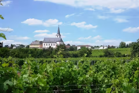 Hochheim am Main: HochheimSilhouetteSO