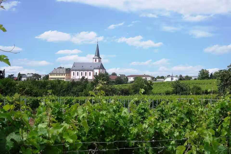 Hochheim am Main: HochheimSilhouetteSO