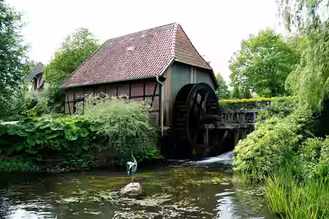 Munster: Örtze Wassermühle ies
