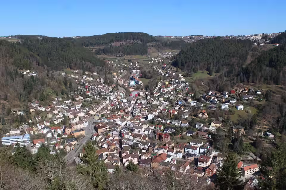 Ansicht von Schramberg