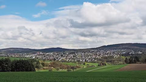 Taunusstein: Bleidenstadt Hahn ks01