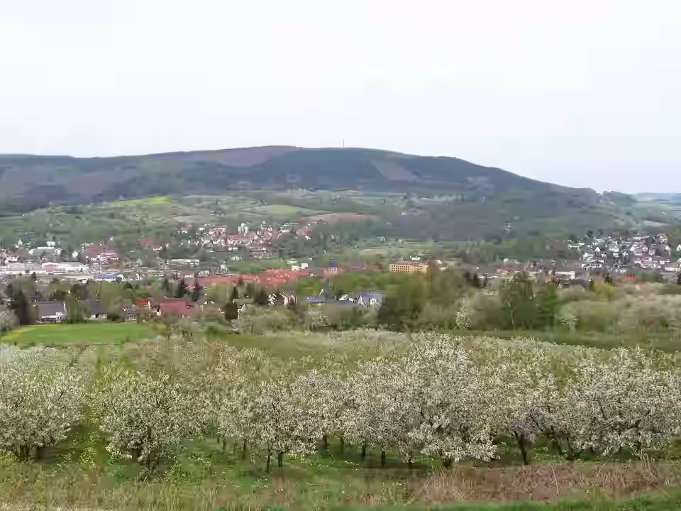 Witzenhausen: Talblick auf zur Kirschblüte ds wv